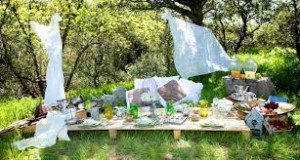 picnic ambiente